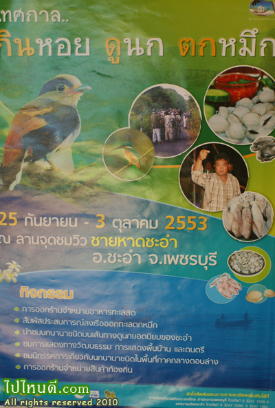 เทศกาลกินหอย ดูนก ตกหมึก ปี 2553 ที่ ชะอำ  