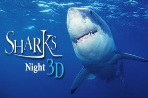 shark-night-3d