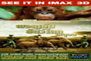 born-to-be-wild-imax-3d